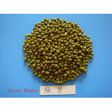 dried green beans